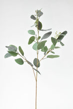Load image into Gallery viewer, Seeded Eucalyptus Branch, 40&quot;
