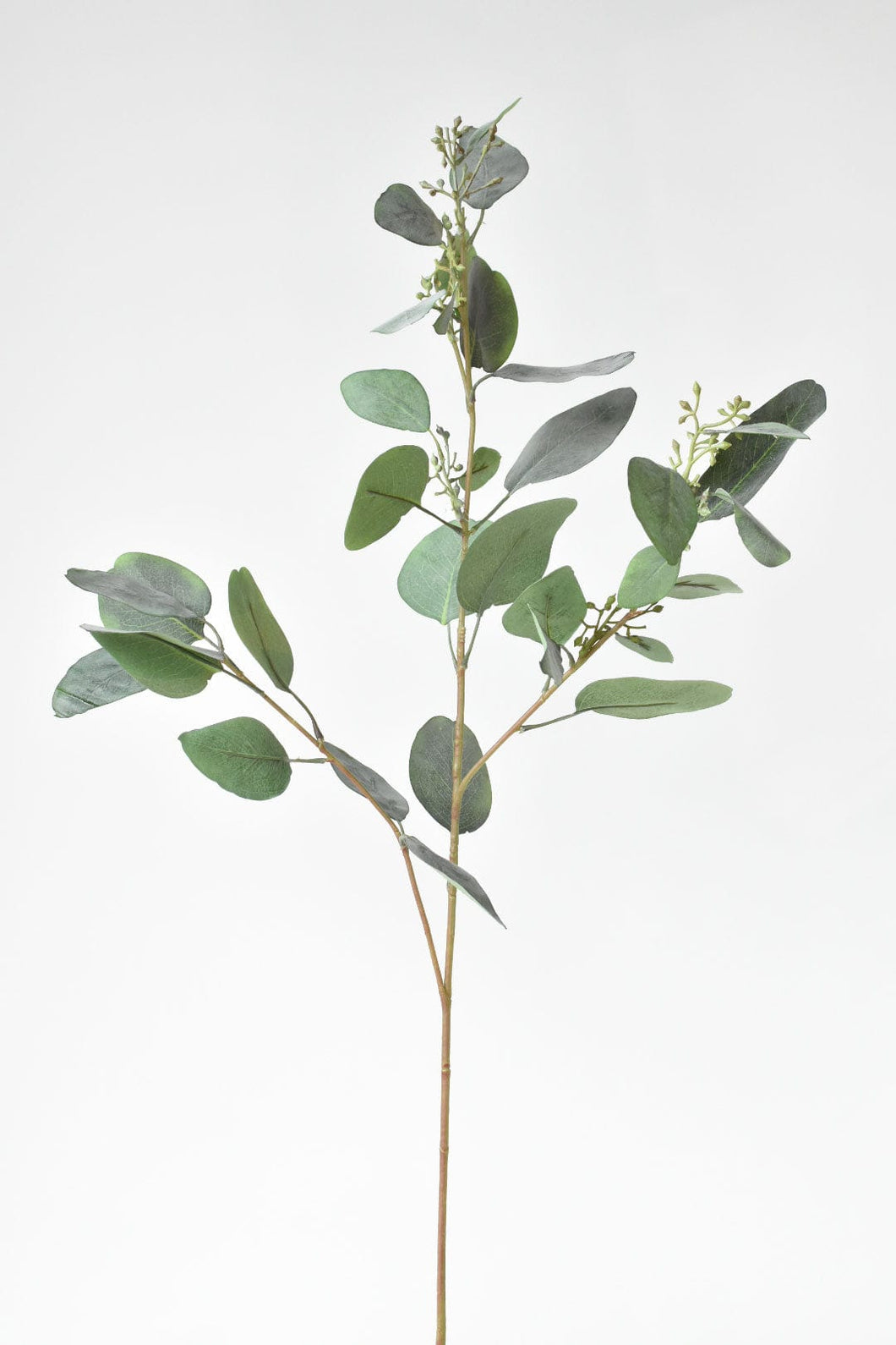 Seeded Eucalyptus Branch, 40