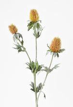 Load image into Gallery viewer, Mauve &amp; Yellow Thistle Spray Stem, 31&quot;
