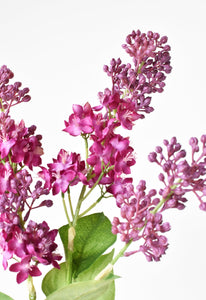 Vibrant Pink/Purple Lilac Stem, 34.5"