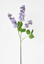 Load image into Gallery viewer, Purple Lilac Stem, 34.5&quot;
