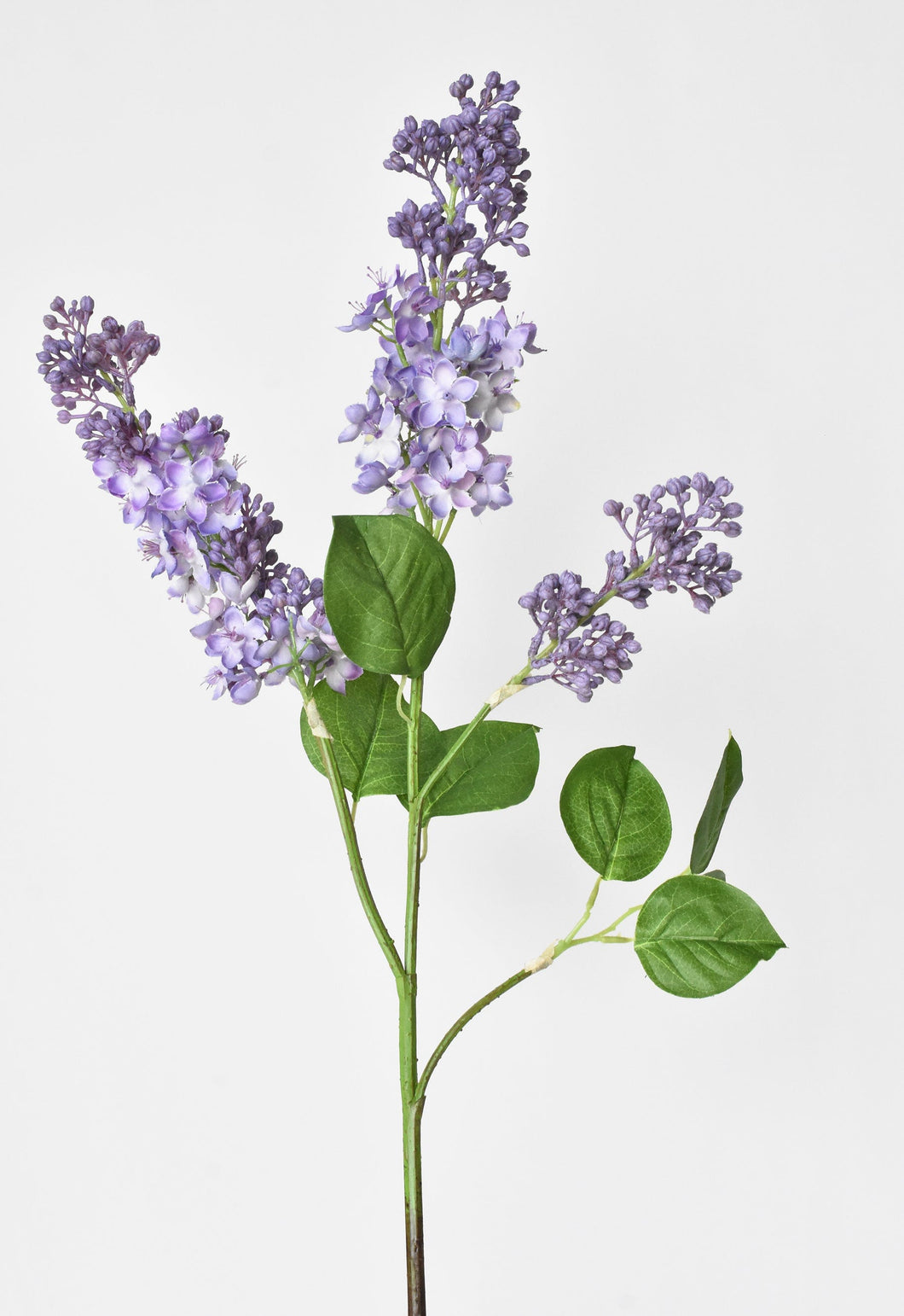 Purple Lilac Stem, 34.5