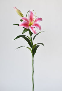 Pink & White Lily Stem, 35"