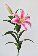 Load image into Gallery viewer, Pink &amp; White Lily Stem, 35&quot;
