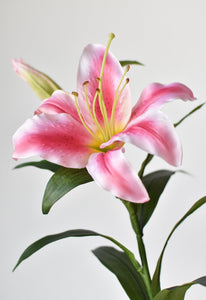 Pink & White Lily Stem, 35"