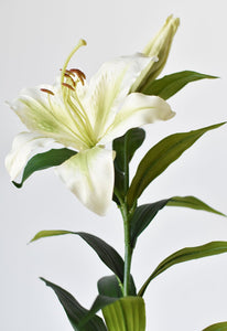 Green & White Lily Stem, 35"