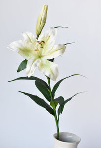 Green & White Lily Stem, 35"