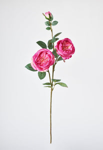 Fuchsia Cabbage Rose Stem, 29"