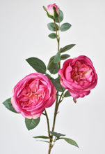Load image into Gallery viewer, Fuchsia Cabbage Rose Stem, 29&quot;
