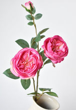 Load image into Gallery viewer, Fuchsia Cabbage Rose Stem, 29&quot;
