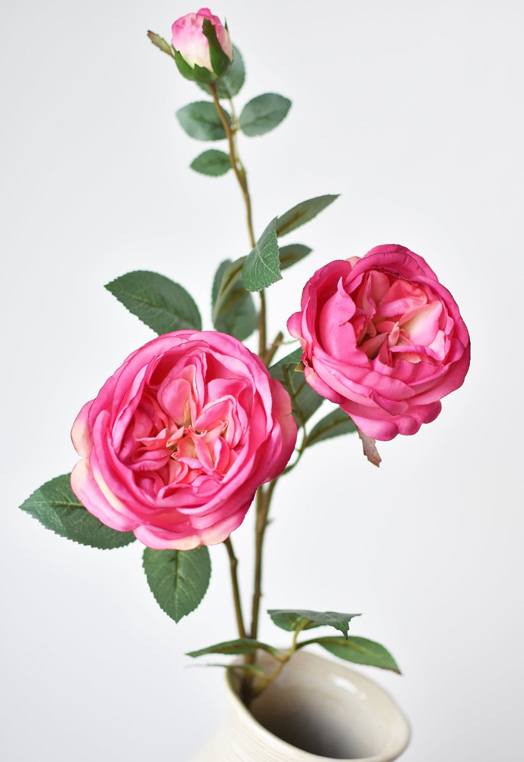 Fuchsia Cabbage Rose Stem, 29