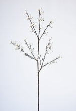 Load image into Gallery viewer, White Berry Branch, 33&quot;
