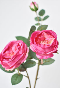 Fuchsia Cabbage Rose Stem, 29"