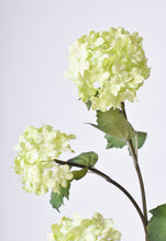 Load image into Gallery viewer, Green Snowball Hydrangea Stem, 30&quot;
