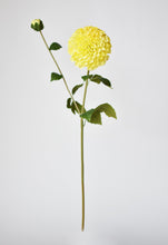 Load image into Gallery viewer, Yellow Dahlia Stem, 31&quot;
