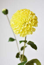 Load image into Gallery viewer, Yellow Dahlia Stem, 31&quot;
