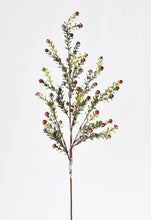 Load image into Gallery viewer, Frosted Berry Greenery Stem, 36&quot;
