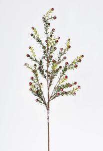 Frosted Berry Greenery Stem, 36"