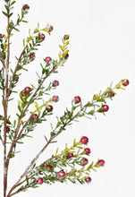 Load image into Gallery viewer, Frosted Berry Greenery Stem, 36&quot;
