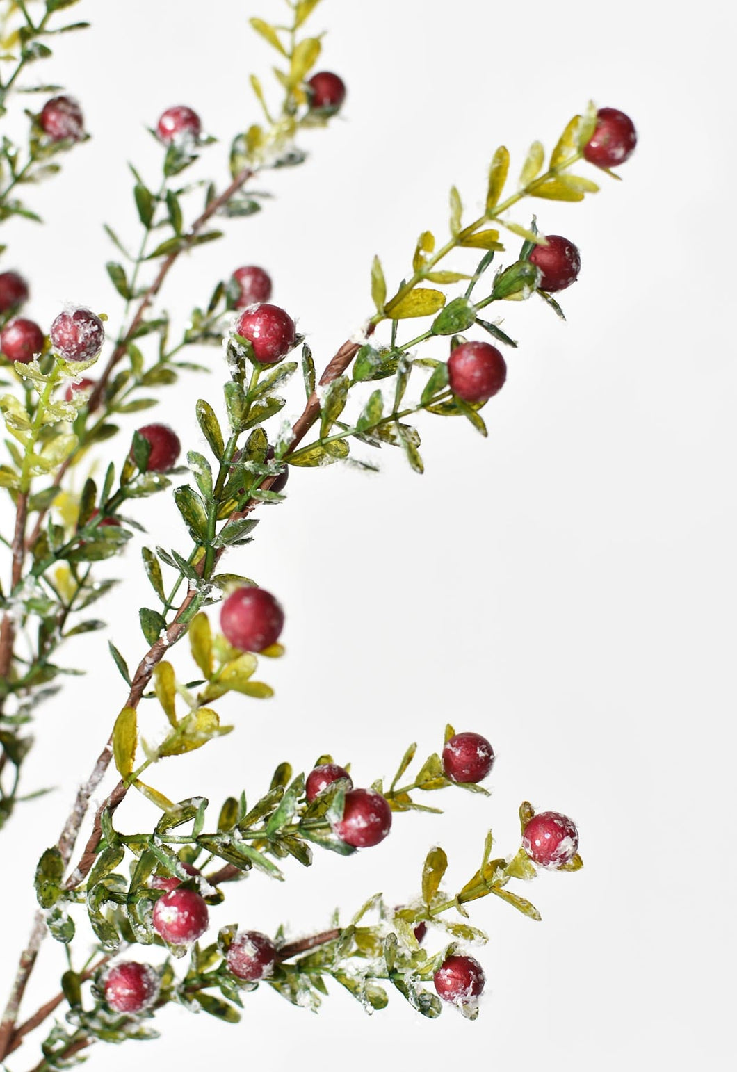 Frosted Berry Greenery Stem, 36