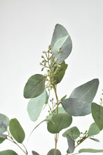 Load image into Gallery viewer, Seeded Eucalyptus Branch, 40&quot;
