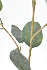 Seeded Eucalyptus Branch, 40"