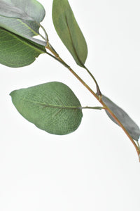 Seeded Eucalyptus Branch, 40"
