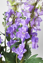 Load image into Gallery viewer, Light Purple Delphinium Stem, 35&quot;
