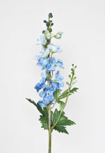 Load image into Gallery viewer, Light Blue Delphinium Stem, 35&quot;
