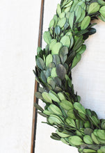 Load image into Gallery viewer, Preserved Boxwood Wreath, 9&quot;
