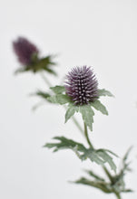Load image into Gallery viewer, Lavender Thistle Stem, 31&quot;
