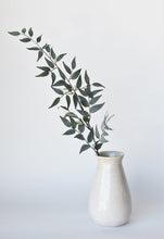 Load image into Gallery viewer, Gray Green Ruscus Leaf Stem, 36&quot;
