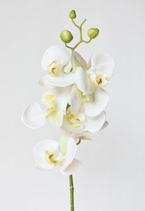 Real Touch White Orchid Stem, 30"