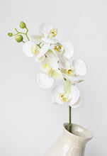 Load image into Gallery viewer, Real Touch White Orchid Stem, 30&quot;
