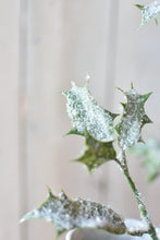Load image into Gallery viewer, Winter Holly Stem, 30&quot;
