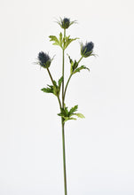 Load image into Gallery viewer, Blue Thistle Stem, 32.5&quot;
