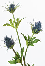 Load image into Gallery viewer, Blue Thistle Stem, 32.5&quot;
