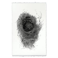 Load image into Gallery viewer, Nest Study #6
