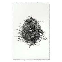 Load image into Gallery viewer, Nest Study #8
