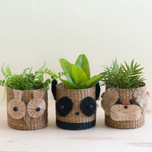 Load image into Gallery viewer, Owl Seagrass Basket Planter
