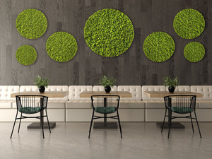 Circular Hanging Moss Wall Art