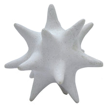 Load image into Gallery viewer, White Spiked Urchin

