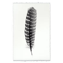 Load image into Gallery viewer, Feather Study #16 (Wild Turkey)
