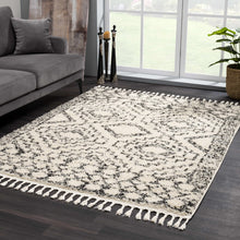 Load image into Gallery viewer, Buan Plush Area Rug
