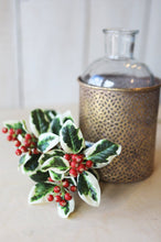 Load image into Gallery viewer, Variegated Faux Holly Stem, 18&quot;
