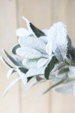 Load image into Gallery viewer, 28&quot; Faux Iced Lambs Ear Stem

