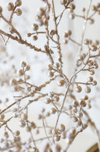 Load image into Gallery viewer, Glittered Berry Stem Champagne, 24&quot;
