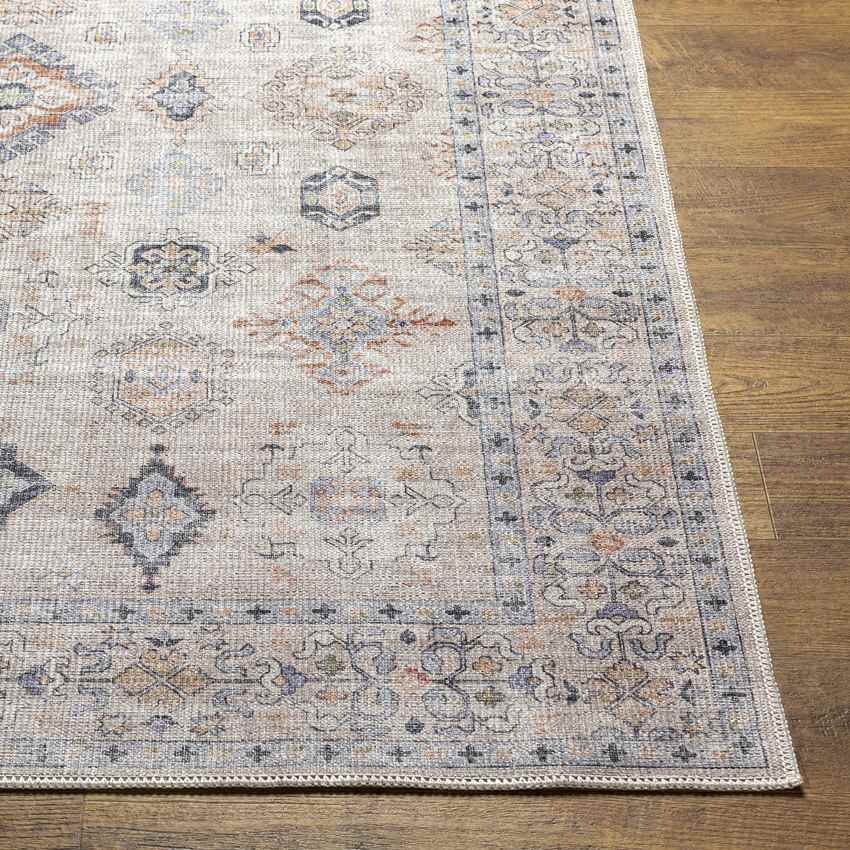 North Utica Traditional Washable Rug, Beige