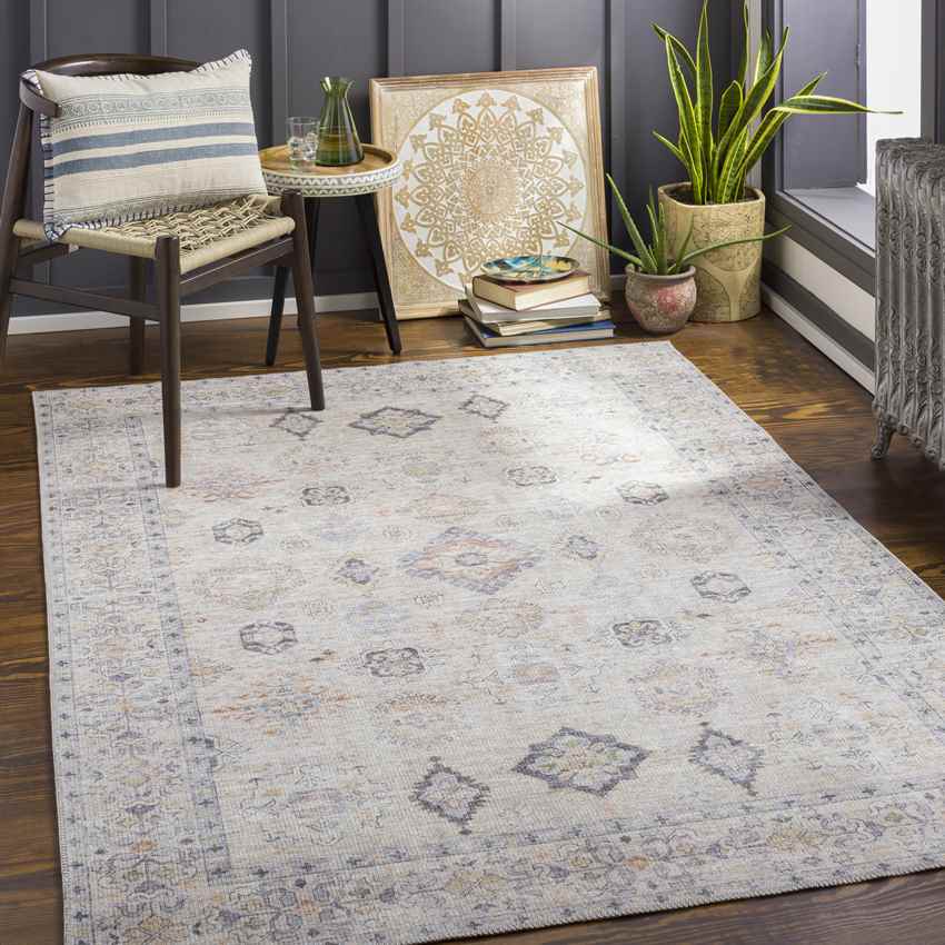 North Utica Traditional Washable Rug, Beige