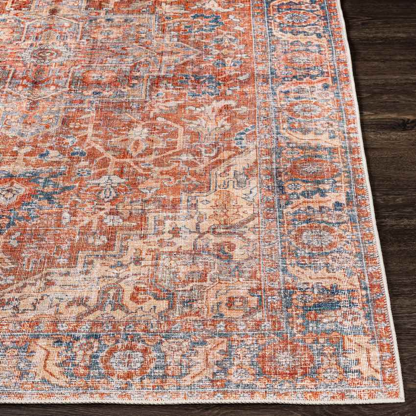 Vernon Hills Traditional Washable Rug, Burnt Orange